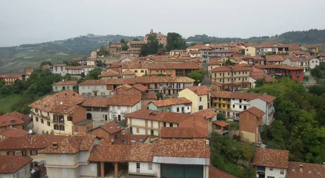 Pino d'Asti | Puliamo Insieme - edizione 2021