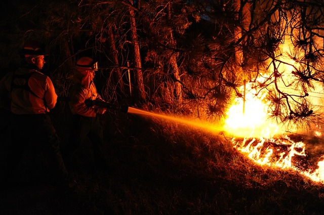 Dichiarazione stato di massima pericolosità per gli incendi boschivi 